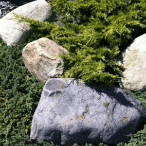 Welsh Quartz and Granite Boulders 150-400mm